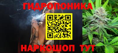 Альфа ПВП Лесосибирск