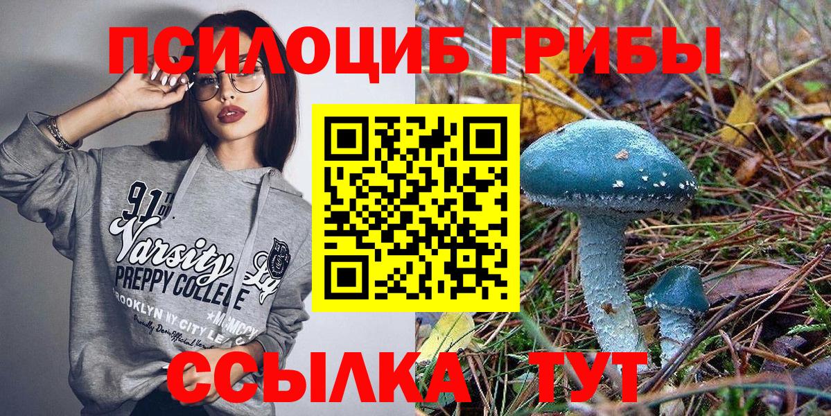 Псилоцибиновые грибы Psilocybe  Вход с VPN  Электрогорск 